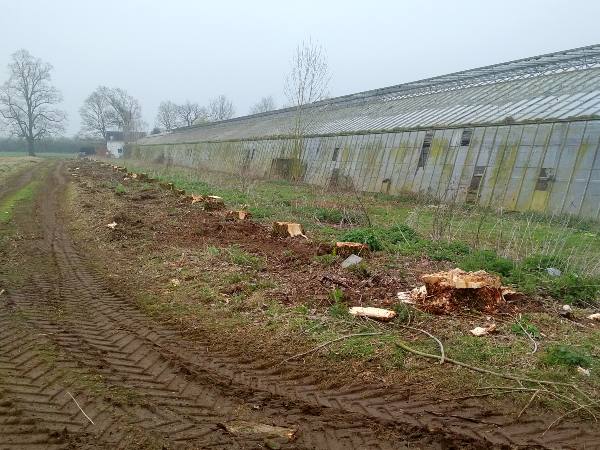 Great Horksley-site-clearance-May-18-2-1